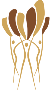 NACA Logo